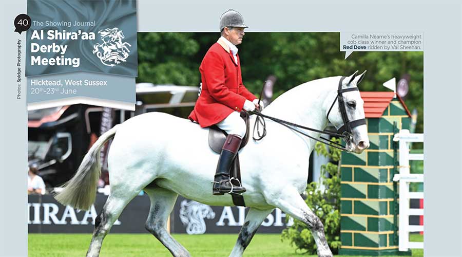Al Shira’aa Derby Meeting