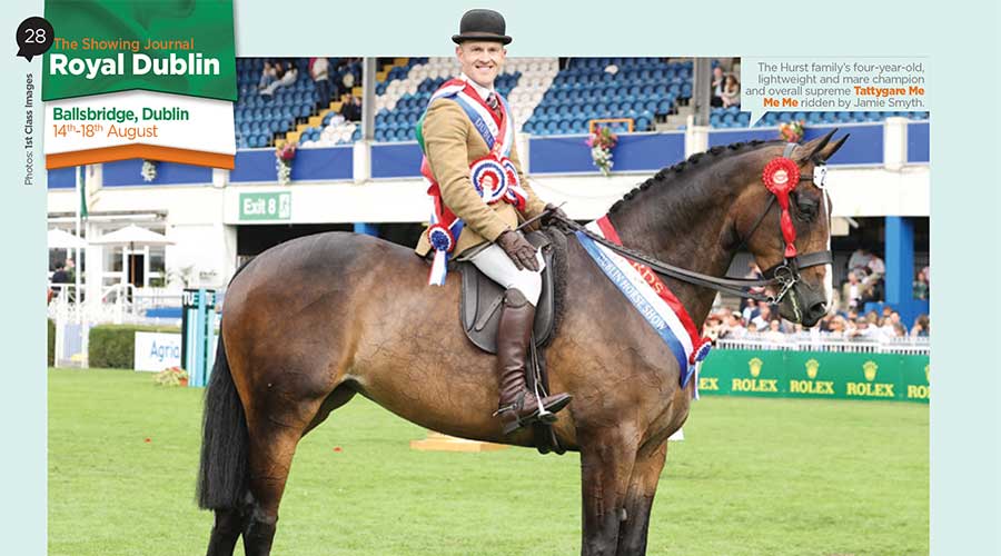 Royal Dublin